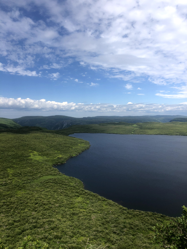 Newfoundland Outdoors